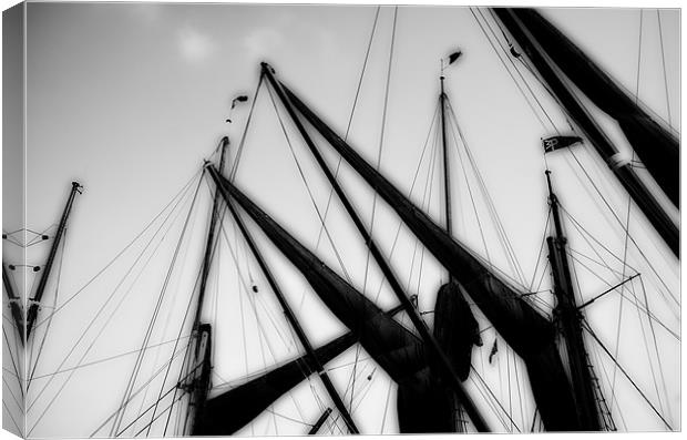 A Dream of Sails Canvas Print by peter tachauer