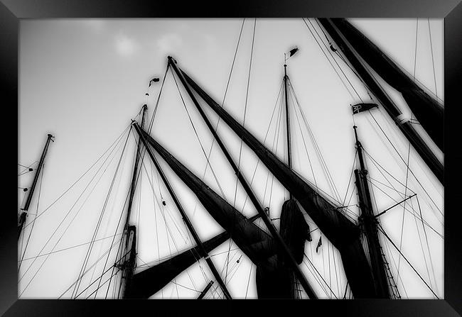 A Dream of Sails Framed Print by peter tachauer