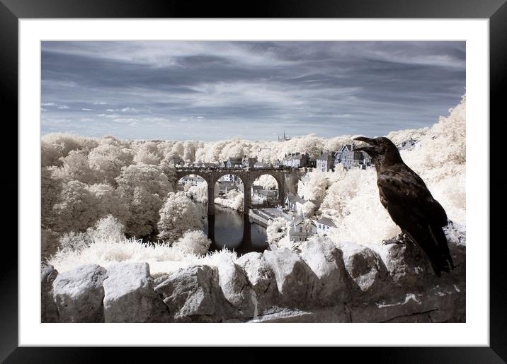 Knaresborough bridge, North Yorkshire, England. Framed Mounted Print by Jim Ripley