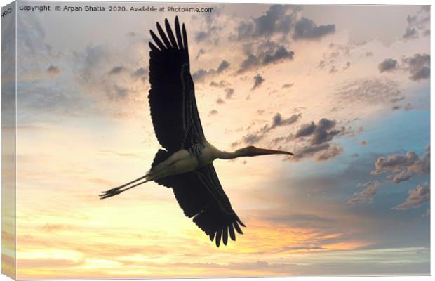 Flying painted stork bird before the dramatic suns Canvas Print by Arpan Bhatia