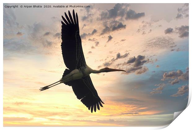 Flying painted stork bird before the dramatic suns Print by Arpan Bhatia