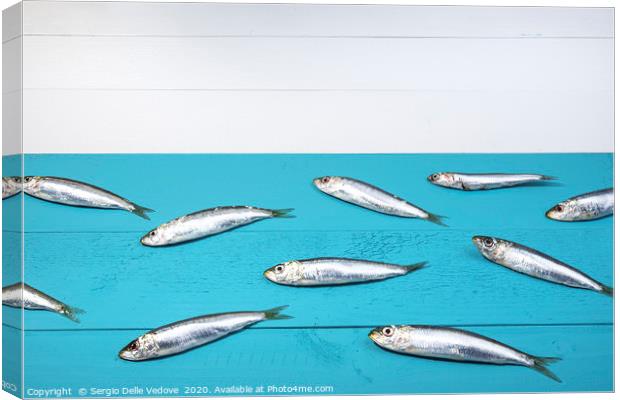 Sardines on a blue table Canvas Print by Sergio Delle Vedove