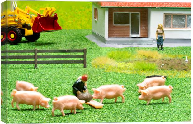 Feeding The Pigs 2 Canvas Print by Steve Purnell