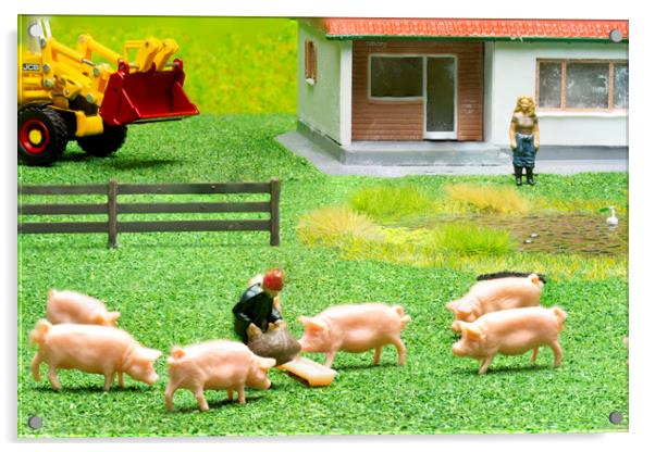 Feeding The Pigs 2 Acrylic by Steve Purnell