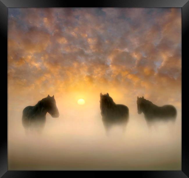 Equine Magic Framed Print by Adrian Campfield