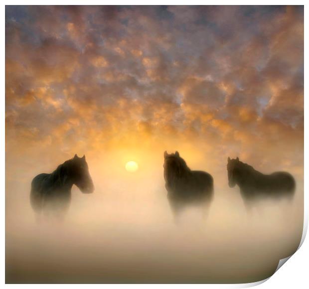Equine Magic Print by Adrian Campfield