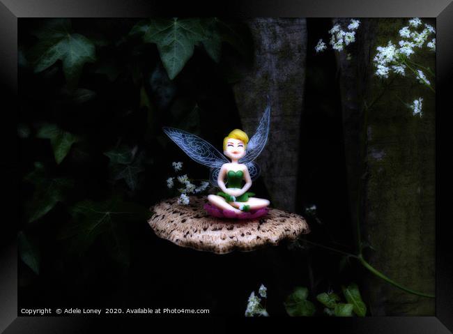 Magical Midnight Fairy Garden  Framed Print by Adele Loney