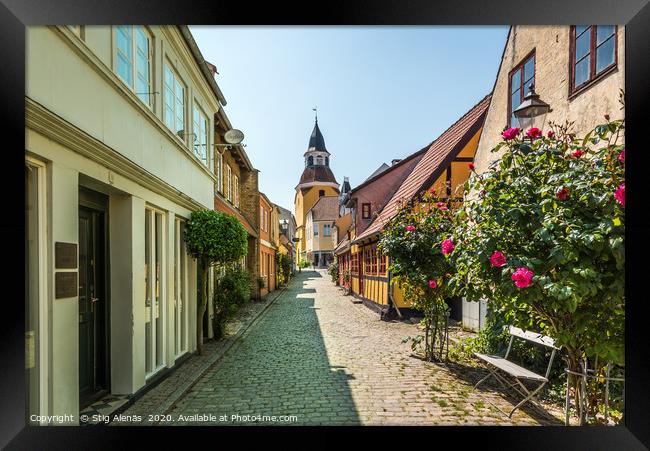 A picturesque alleyway with cobblestones and red r Framed Print by Stig Alenäs
