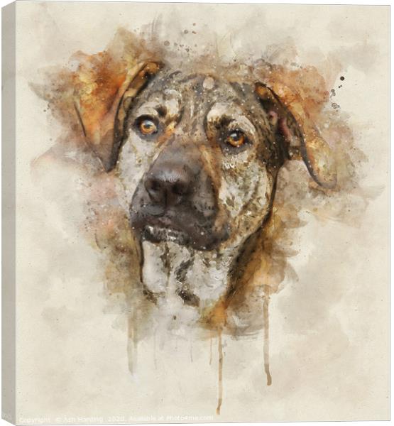Digi Dog Canvas Print by Ash Harding