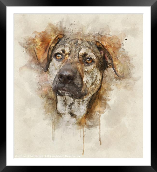 Digi Dog Framed Mounted Print by Ash Harding