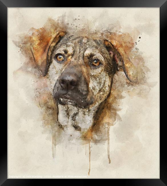 Digi Dog Framed Print by Ash Harding