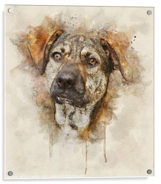 Digi Dog Acrylic by Ash Harding
