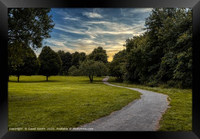 Walk the path into the encroaching Dusk  Framed Print by David Smith