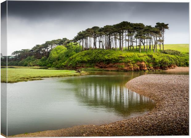  Budleigh Salterton Trees Canvas Print by David Hall