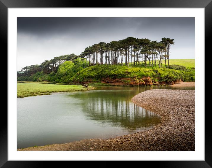  Budleigh Salterton Trees Framed Mounted Print by David Hall
