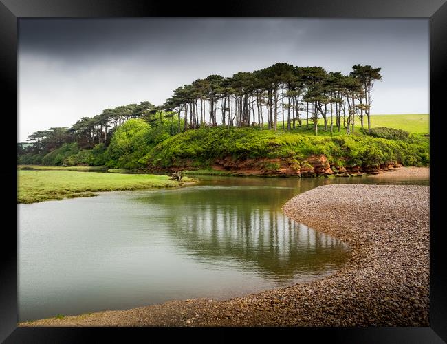  Budleigh Salterton Trees Framed Print by David Hall