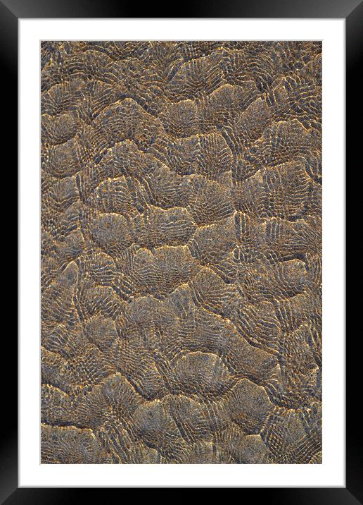 Sand Ripples Framed Mounted Print by Jules Camfield