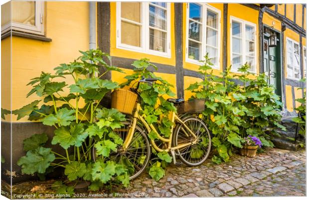 a bicycle at a house-wall, overgrown by hollyhocks Canvas Print by Stig Alenäs