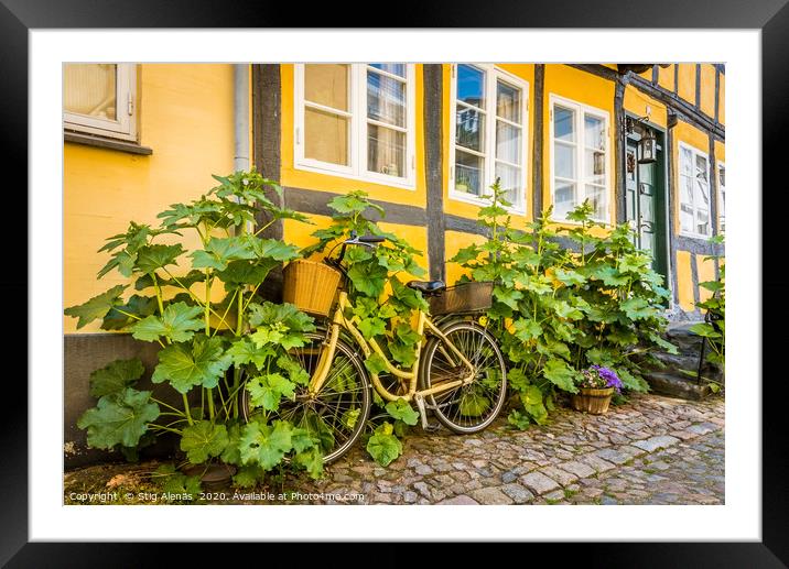 a bicycle at a house-wall, overgrown by hollyhocks Framed Mounted Print by Stig Alenäs