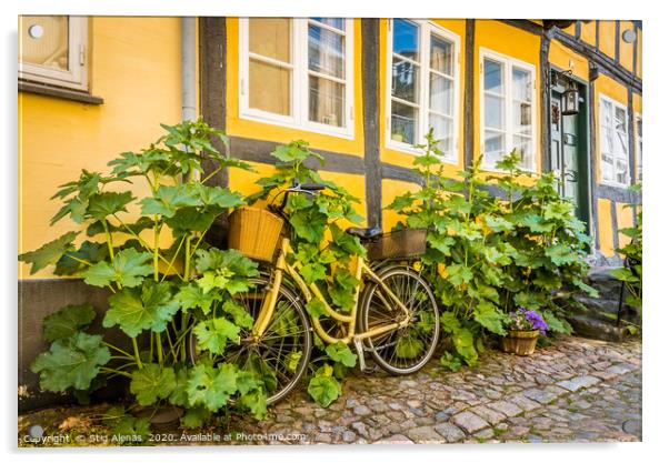 a bicycle at a house-wall, overgrown by hollyhocks Acrylic by Stig Alenäs