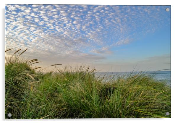 Sand dunes on the Norfolk coast Acrylic by Chris Yaxley