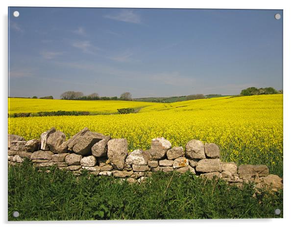 Dorset in Spring Acrylic by Nicola Clark