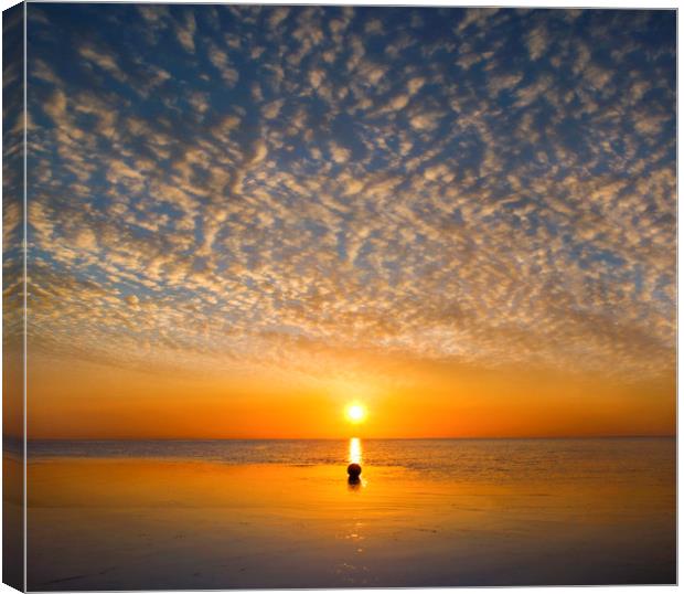 Sunrise over the Beach Canvas Print by Adrian Campfield