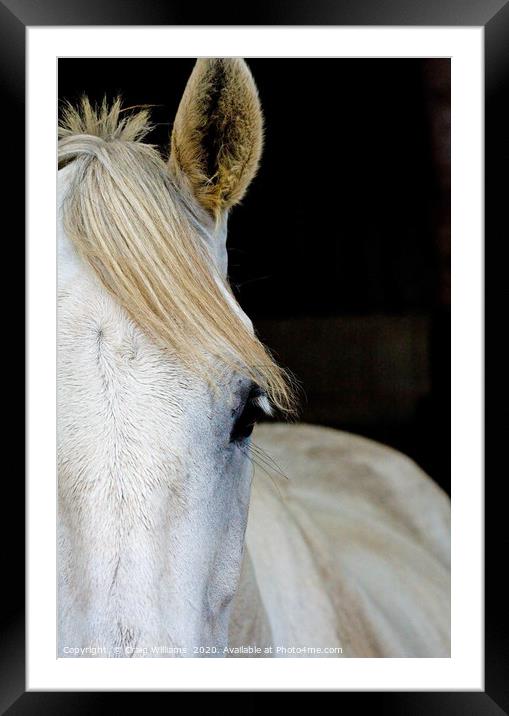 Pony in stable  Framed Mounted Print by Craig Williams
