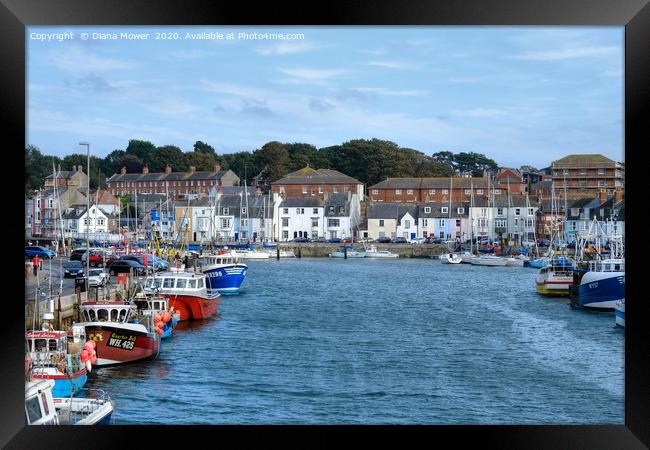 Weymouth Harbour  Framed Print by Diana Mower