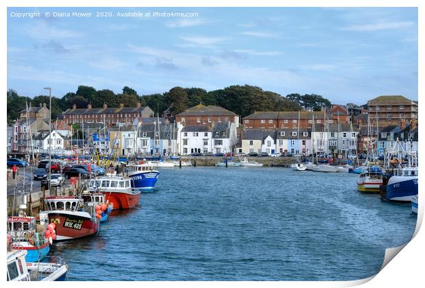 Weymouth Harbour  Print by Diana Mower