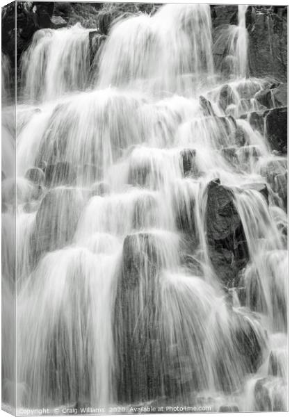 The Face in the Waterfall Canvas Print by Craig Williams