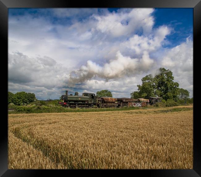 Chinnor & Princess Risborough Railway  Framed Print by Philip Enticknap