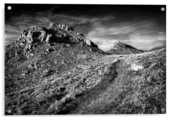 Valley of the Rocks Exmoor North Devon             Acrylic by Darren Galpin