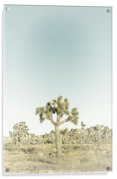 Joshua Tree | Vintage Acrylic by Melanie Viola