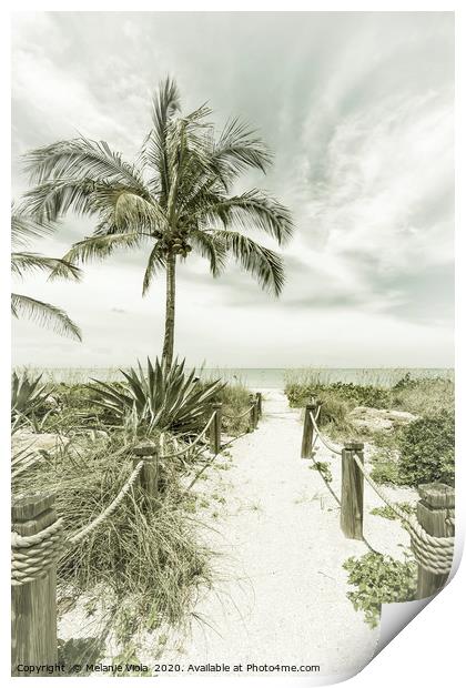 Path to the beach | Vintage Print by Melanie Viola