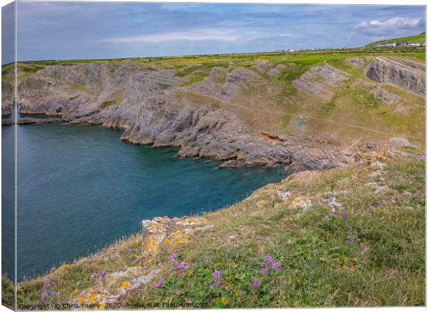 Mewslade Bay on the Gower Way, South Wales Canvas Print by Chris Yaxley