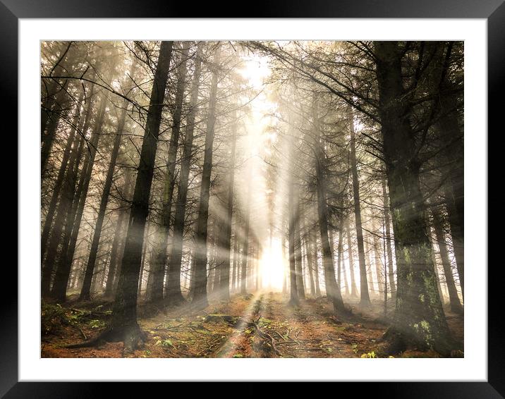 Rays of light in the forest Framed Mounted Print by Simon Marlow