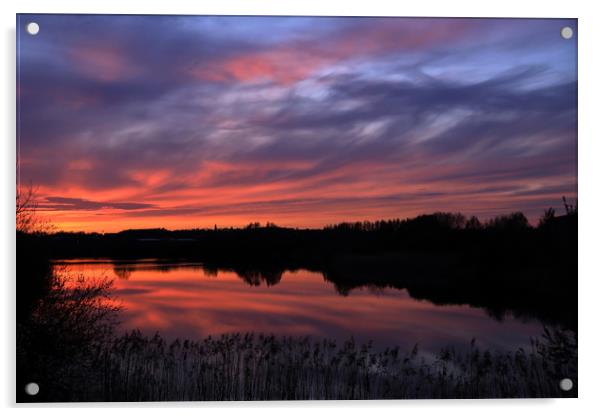 Sunset over Lake  Acrylic by Leila Coker