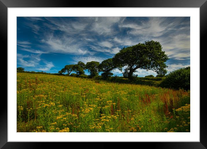 The Field Framed Mounted Print by Michael Brookes