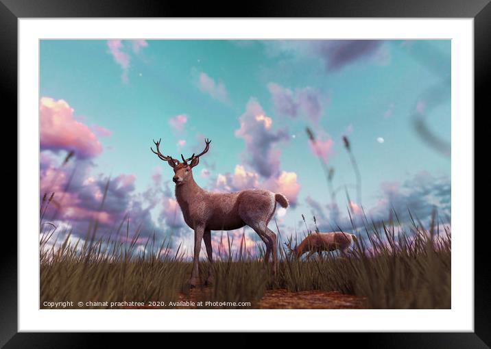 Deer in grass field at sunset or sunrise,3d illust Framed Mounted Print by chainat prachatree