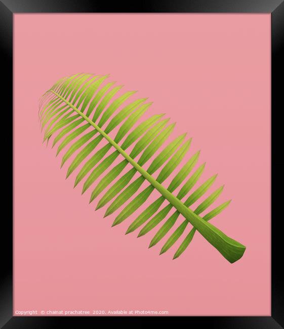 Palm frond on pastel color background,3d rendering Framed Print by chainat prachatree