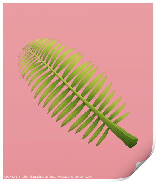 Palm frond on pastel color background,3d rendering Print by chainat prachatree