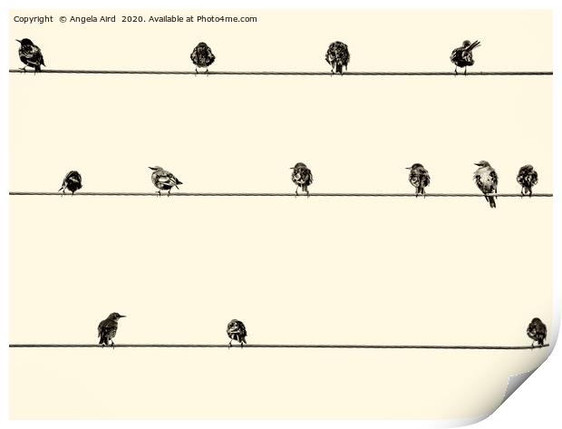 Birds on the Wire. Print by Angela Aird