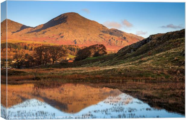 Old Man of Coniston Reflected Canvas Print by Andrew Ray