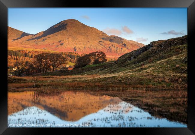 Old Man of Coniston Reflected Framed Print by Andrew Ray