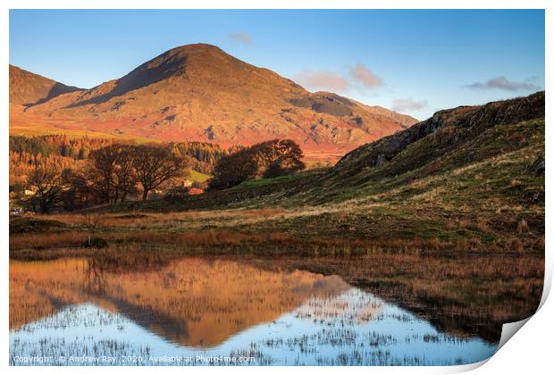 Old Man of Coniston Reflected Print by Andrew Ray
