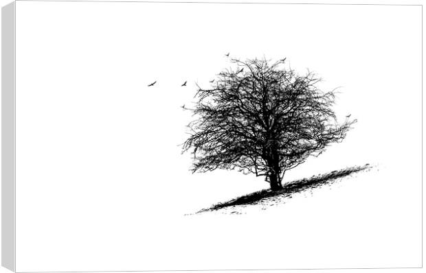 The Tree Canvas Print by Fine art by Rina