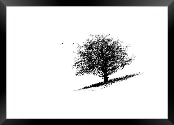The Tree Framed Mounted Print by Fine art by Rina