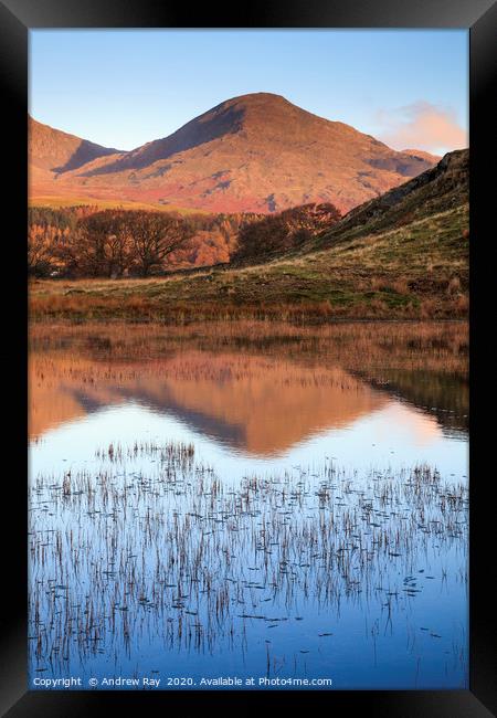 Kelly Hall Tarn reflectIons Framed Print by Andrew Ray
