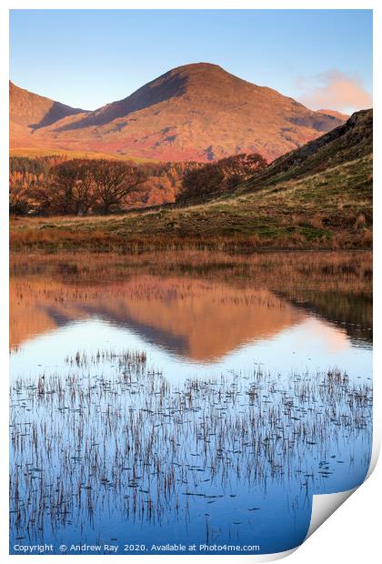 Kelly Hall Tarn reflectIons Print by Andrew Ray